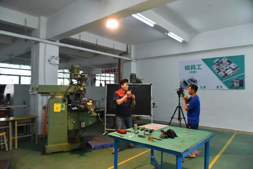 創新培訓服務企業 寶山技工全面啟動企業適崗培訓工作，聚焦信息技術咨詢服務